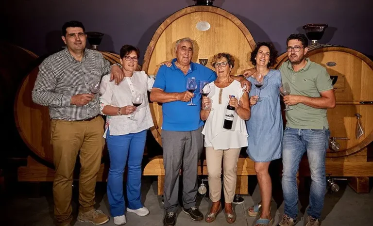 Bodegas y Viñedos Valderiz 瓦德里斯酒莊