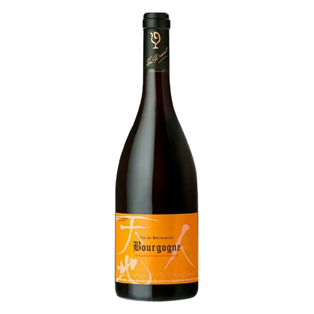 Lou Dumont - Bourgogne Rouge