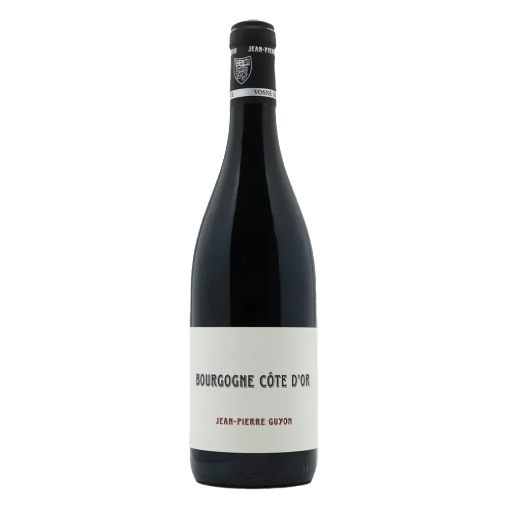 Jean-Pierre Guyon - Bourgogne Côte d'Or Rouge 2023