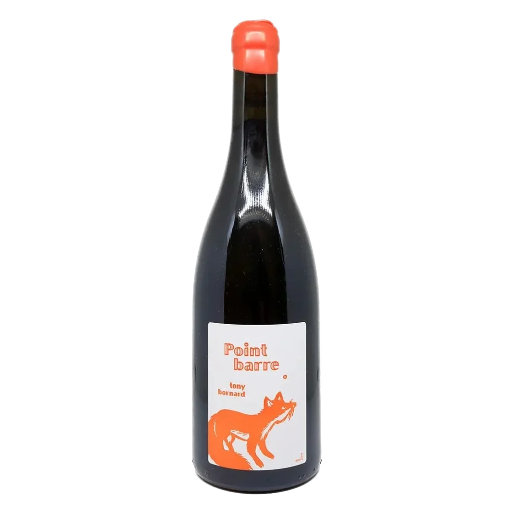 Tony Bornard - Ploussard Point Barre 2020