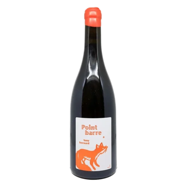 Tony Bornard - Ploussard Point Barre 2020