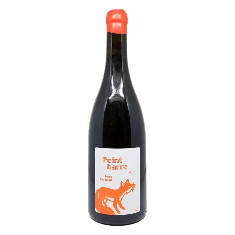 Tony Bornard - Ploussard Point Barre 2020