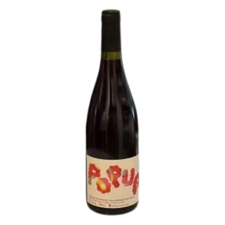 Sonshine Vins - Pop up Rouge 2023