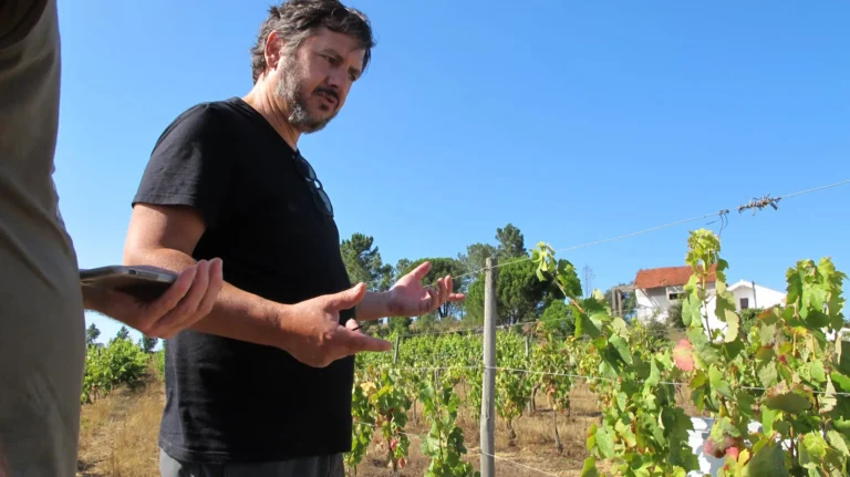 Quinta da Serradinha 小瓢蟲酒莊