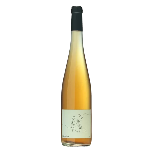 Charles Frey - Macération 2023