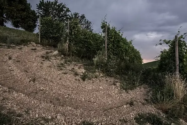Cascina Ebreo 艾布雷歐酒莊