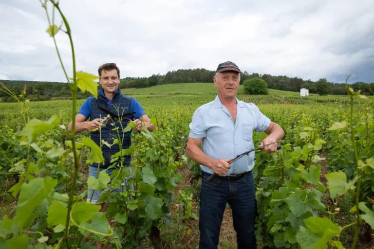 Patrick Maroiller et Fils 派翠克馬羅伊酒莊