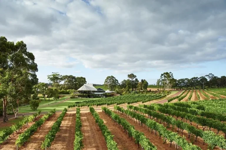 Vasse Felix 飛鷹酒莊